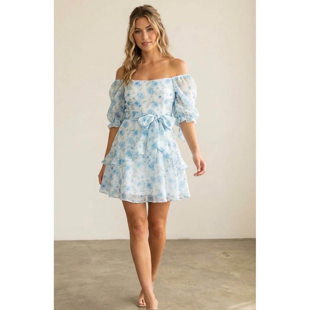 Francesca's Babydoll Mini Whimsical Floral Dress Cottagecore Pastel‎ White Puff